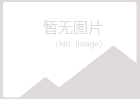 日照岚山含蕾能源有限公司